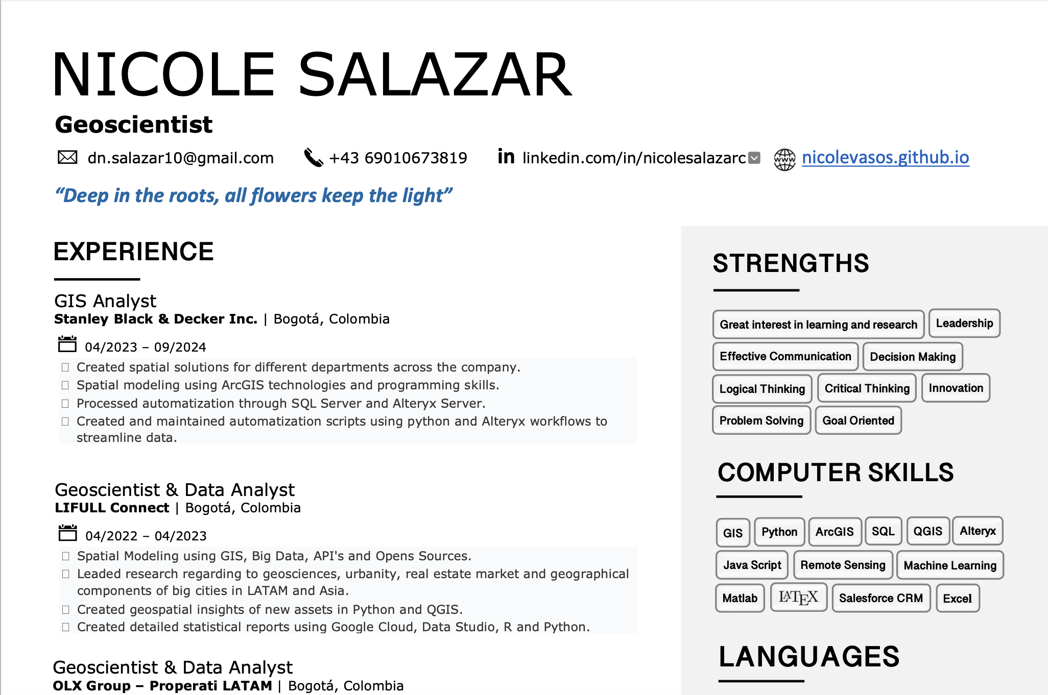 CV English