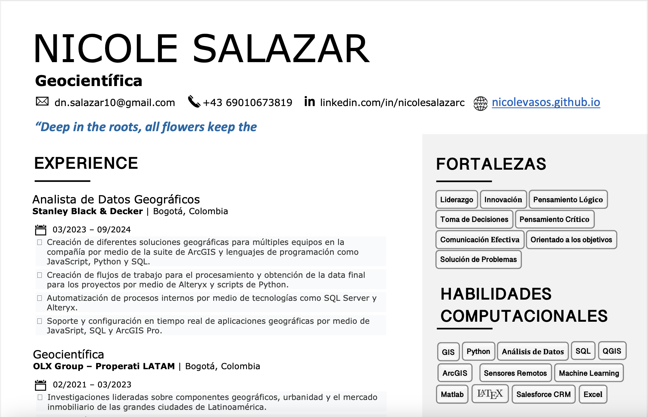 CV Spanish